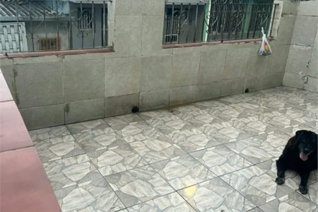 Casa à venda com 3 quartos em Vila Dalva, São Paulo, SP