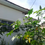 Terreno à venda em Tucuruvi, São Paulo, SP