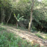 Terreno à venda em Samambaia, Mairiporã, SP