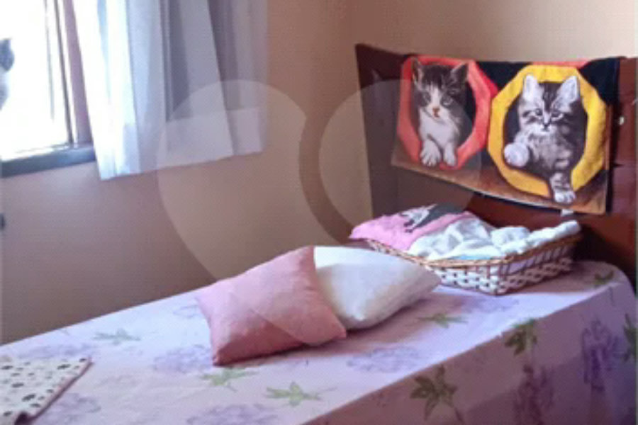 Sobrado à venda com 2 quartos em Vila Guilherme, São Paulo, SP
