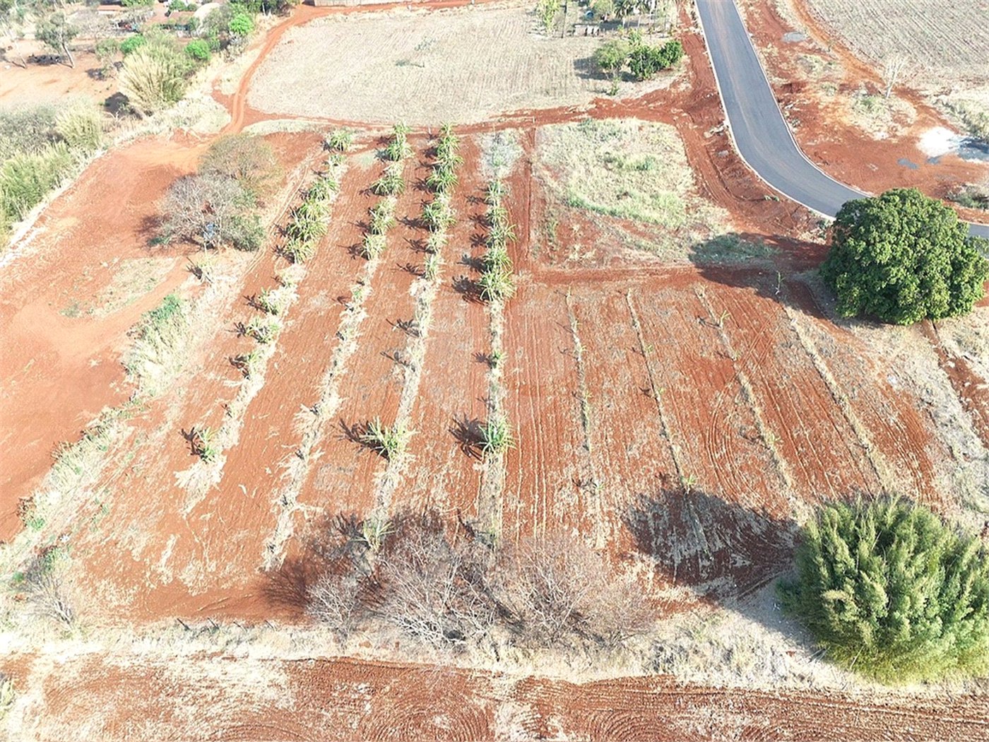 Terreno à venda em Vila do Golf, Ribeirão Preto, SP