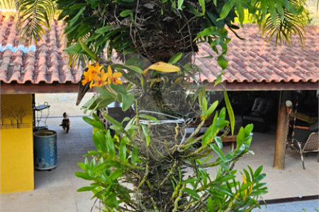 Casa Térrea à venda com 4 quartos, sendo 1 suíte, em Jardim Centenário, Atibaia, SP
