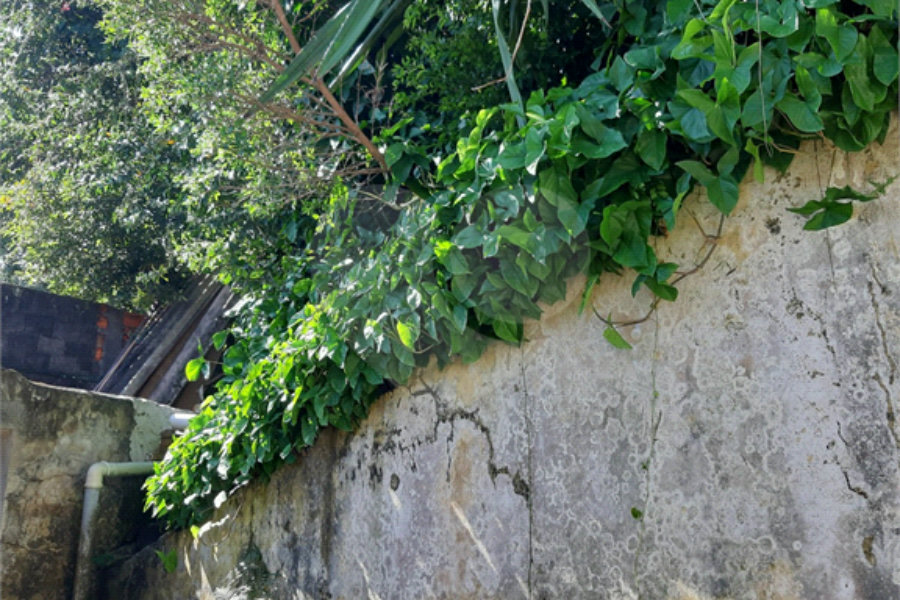 Terreno à venda em Vila Irmãos Arnoni, São Paulo, SP