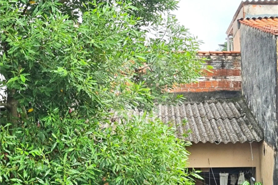 Casa à venda com 3 quartos, sendo 1 suíte, em Horto Florestal, São Paulo, SP