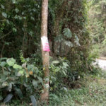 Terreno à venda em Serra da Cantareira, Mairiporã, SP
