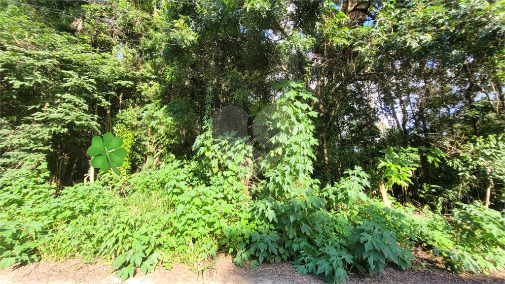 Loteamento à venda em Canjica (terra Preta), Mairiporã, SP
