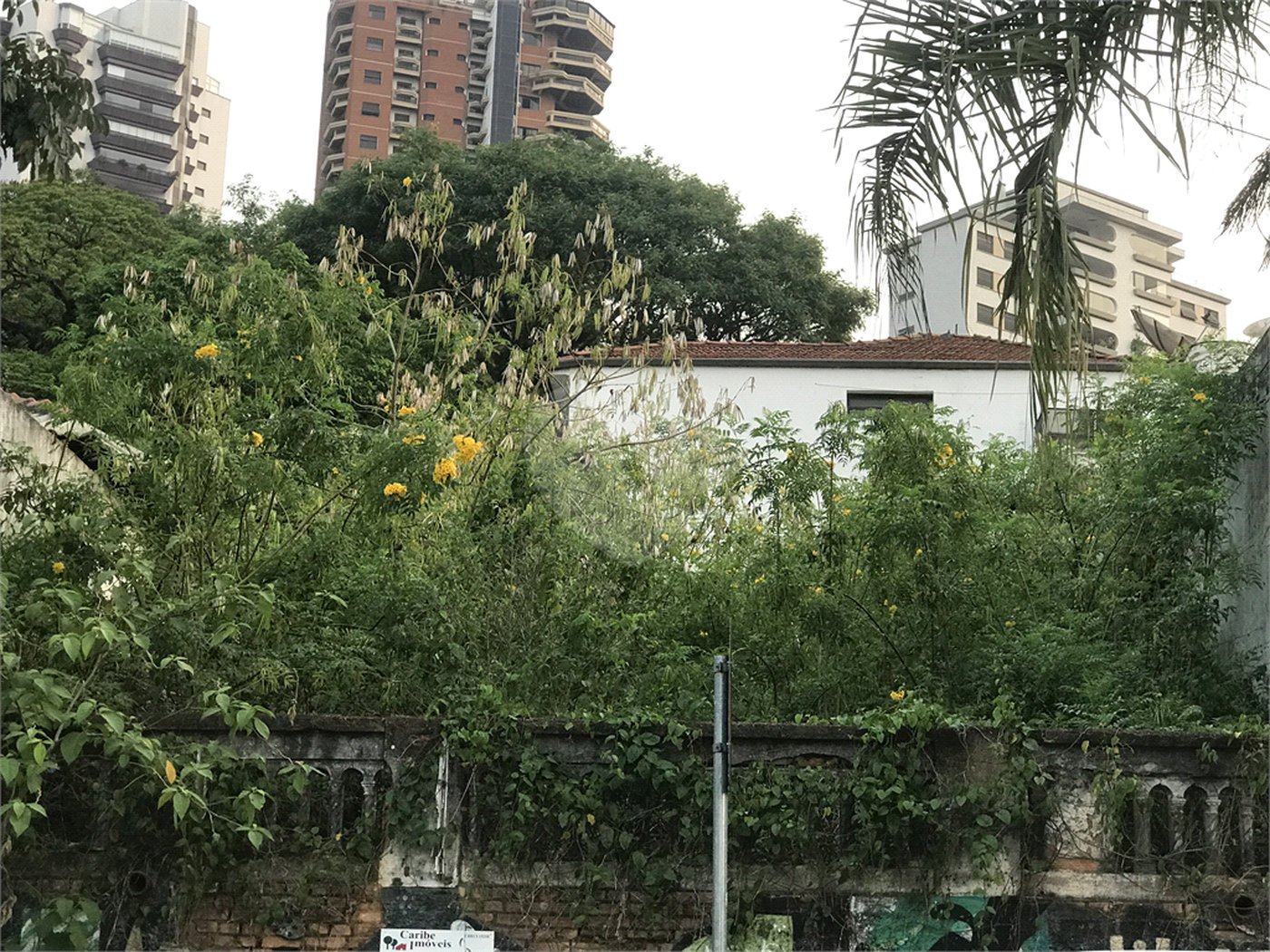 Terreno à venda em Água Fria, São Paulo, SP