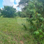 Terreno à venda em Chácaras do Guacuri, Itupeva, SP
