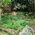 Chácara à venda com 10 quartos, sendo 20 suítes, em Serra da Cantareira, Mairiporã, SP