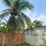 Terreno à venda em Campo Grande, Rio de Janeiro, RJ