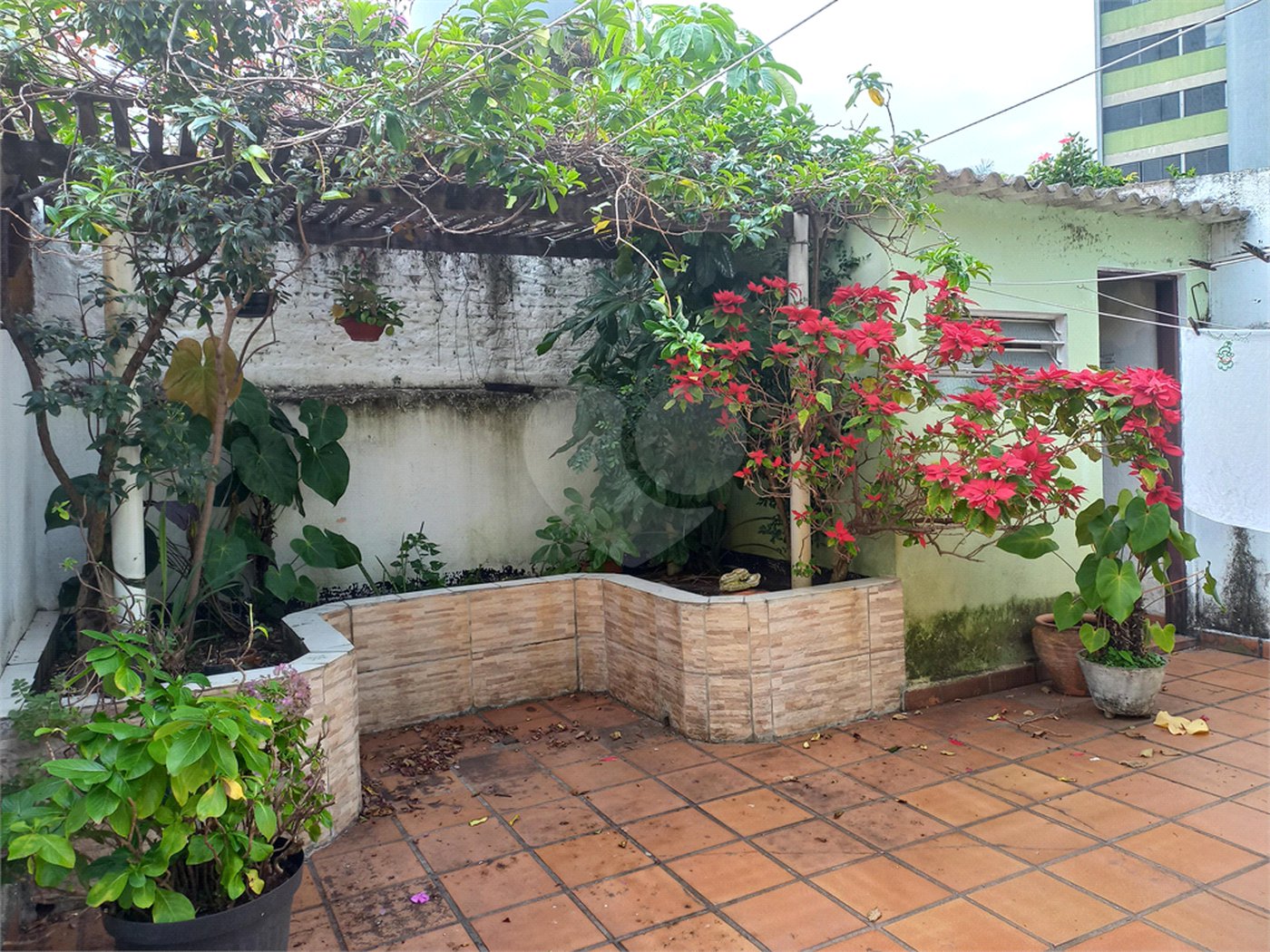 Casa à venda ou para alugar com 2 quartos em Alto da Lapa, São Paulo, SP