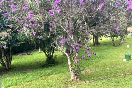 Terreno à venda em Loteamento Terras de São Pedro e São Paulo, Salto, SP