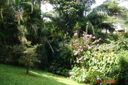 Casa Térrea à venda com 4 quartos, sendo 2 suítes, em Vila Tramontano, São Paulo, SP