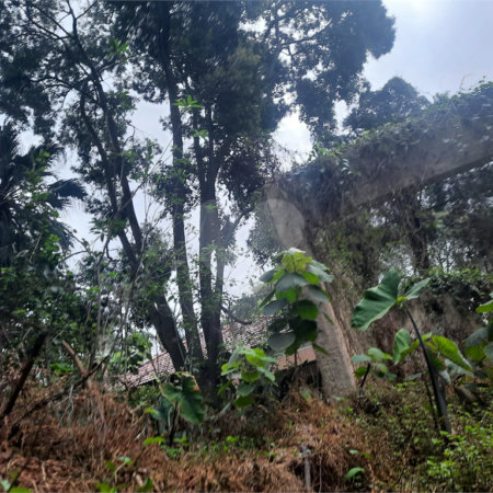 Terreno à venda em Alto da Boa Vista, São Paulo, SP