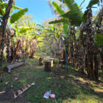 Chácara à venda com 4 quartos em Residencial Chácara da Planície, Sorocaba, SP