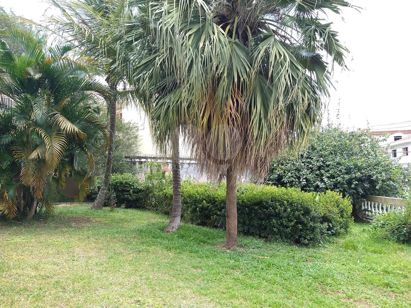 Casa à venda ou para alugar com 4 suítes em Vila Comercial, São Paulo, SP