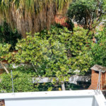 Terreno à venda com 3 quartos em Tremembé, São Paulo, SP