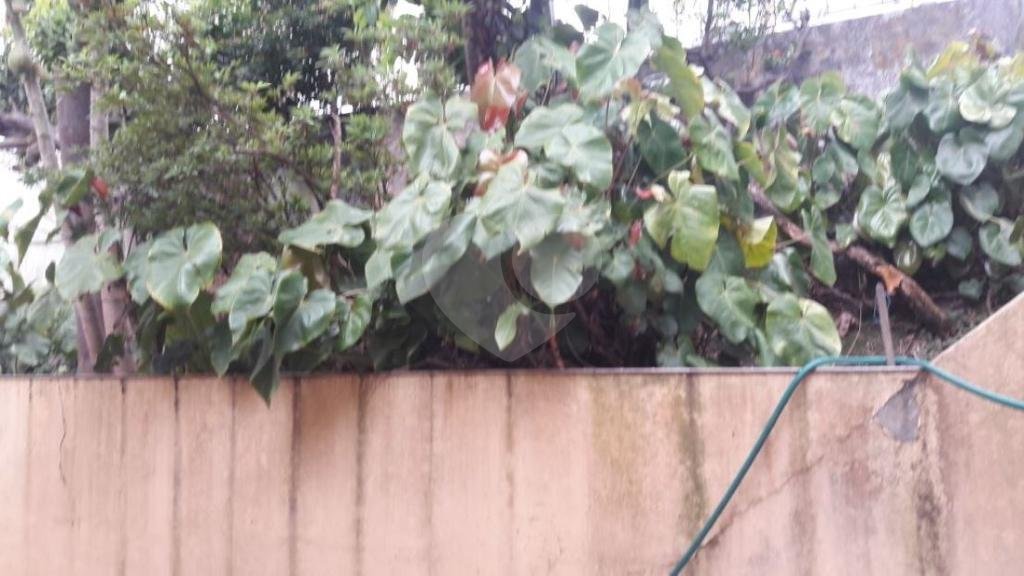 Terreno à venda com 4 quartos, sendo 1 suíte, em Santa Teresinha, São Paulo, SP