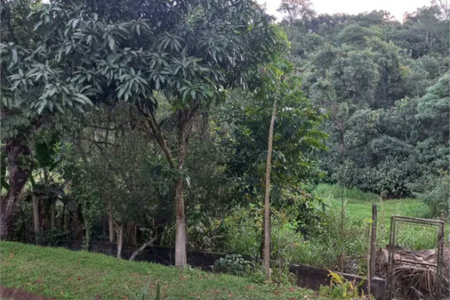 Apartamento para alugar com 2 quartos em Jardim da Glória, Cotia, SP