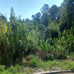 Terreno à venda em Serra da Cantareira, Mairiporã, SP