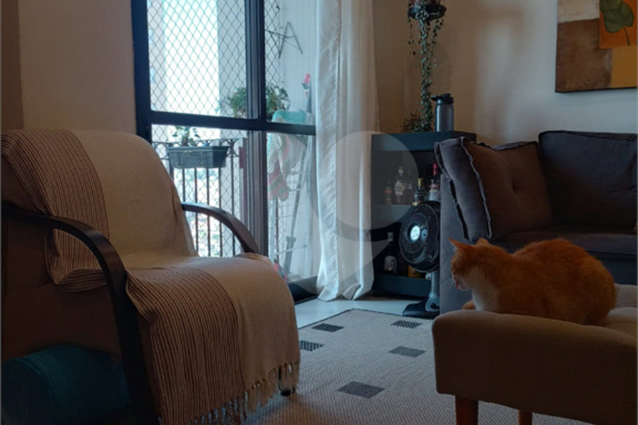 Apartamento à venda com 3 quartos, sendo 1 suíte, em Mandaqui, São Paulo, SP