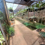 Sobrado à venda com 1 suíte no Centro, Américo Brasiliense, SP