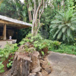 Casa Térrea à venda com 4 quartos, sendo 2 suítes, em Jardim Europa, São Paulo, SP