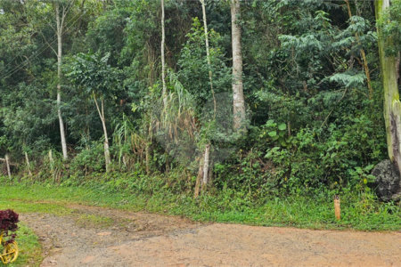 Terreno à venda em Pavão (canguera), São Roque, SP