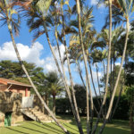 Chácara à venda com 4 quartos, sendo 2 suítes, em Vale dos Pinheiros, Atibaia, SP