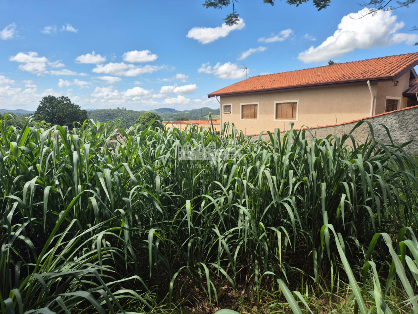 Terreno à venda em Jardim dos Pinheiros, Atibaia, SP