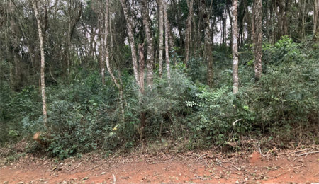 Terreno à venda no condomínio Alpes da Cantareira, Mairiporã - SP