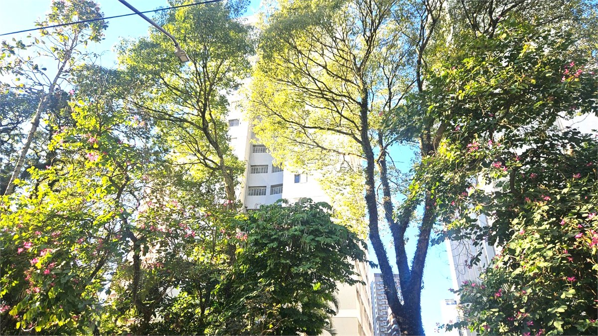 Apartamento à venda com 3 quartos em Chácara Santo Antônio (zona Sul), São Paulo, SP