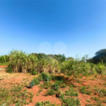 Terreno à venda em Vila Mazzei, Itapetininga, SP
