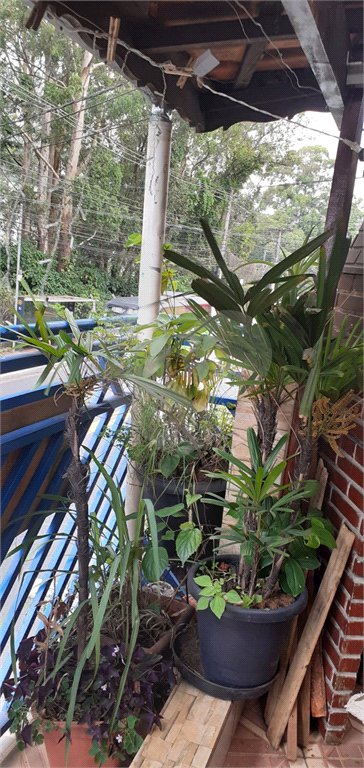 Sobrado à venda com 2 quartos no Brasilândia, São Paulo, SP