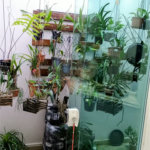 Sobrado à venda com 3 quartos, sendo 1 suíte, em Santana, São Paulo, SP