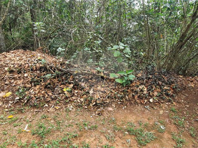 Terreno à venda em Serra da Cantareira, Mairiporã, SP