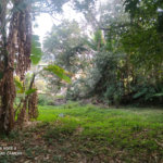 Terreno à venda com 3 quartos, sendo 1 suíte, em Tremembé, São Paulo, SP
