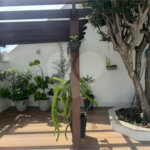 Sobrado à venda com 4 quartos, sendo 2 suítes, em Tucuruvi, São Paulo, SP