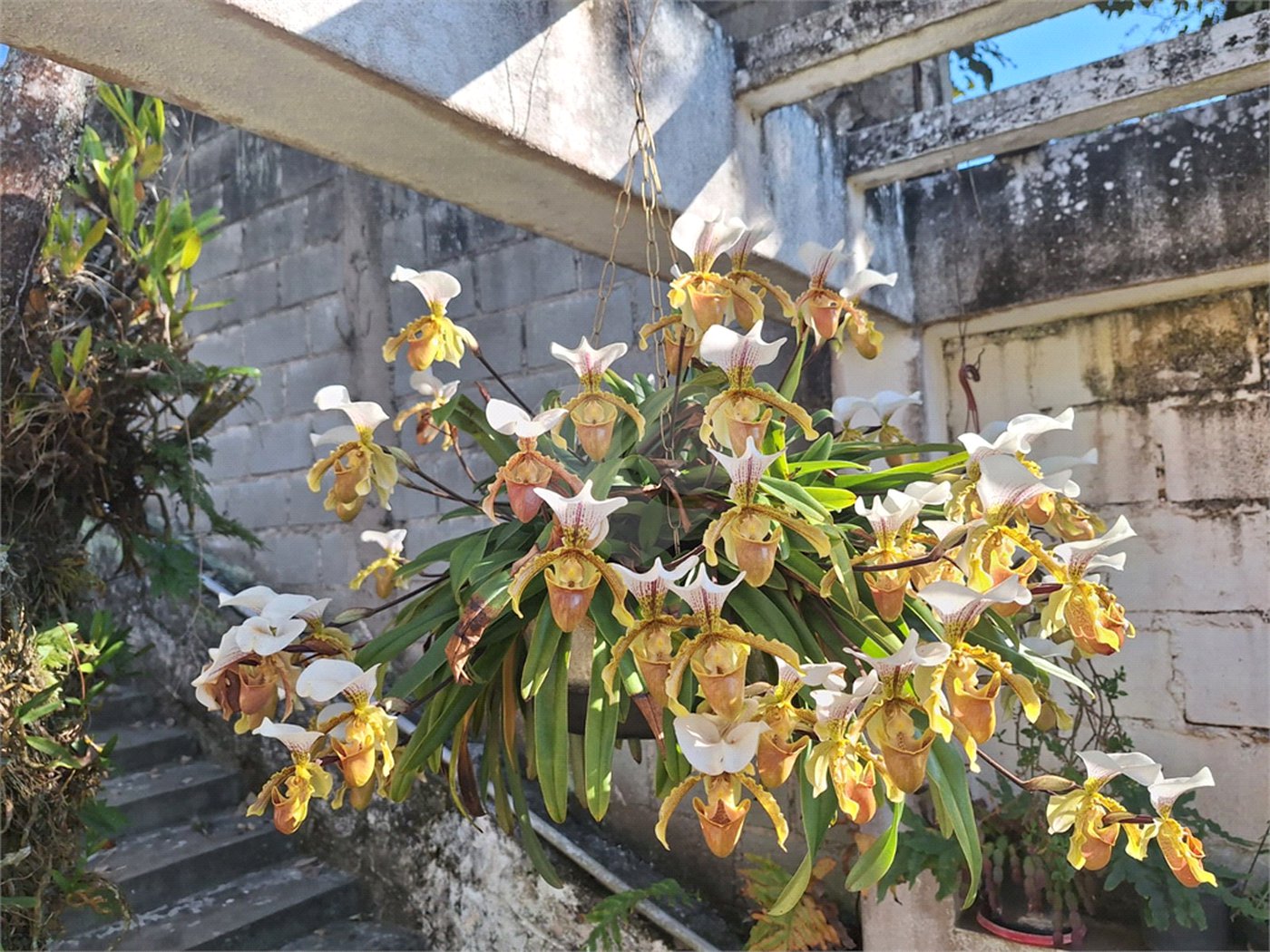 Chácara à venda com 1 suíte em Jardim Estância Brasil, Atibaia, SP