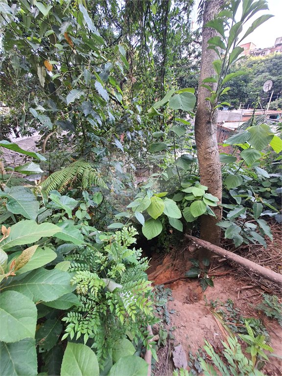 Loteamento à venda em Jardim Amália, São Paulo, SP