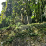 Terreno à venda em Roseira, Mairiporã, SP
