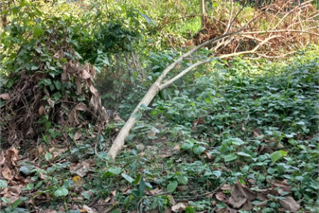 Terreno à venda em Vila Tramontano, São Paulo, SP