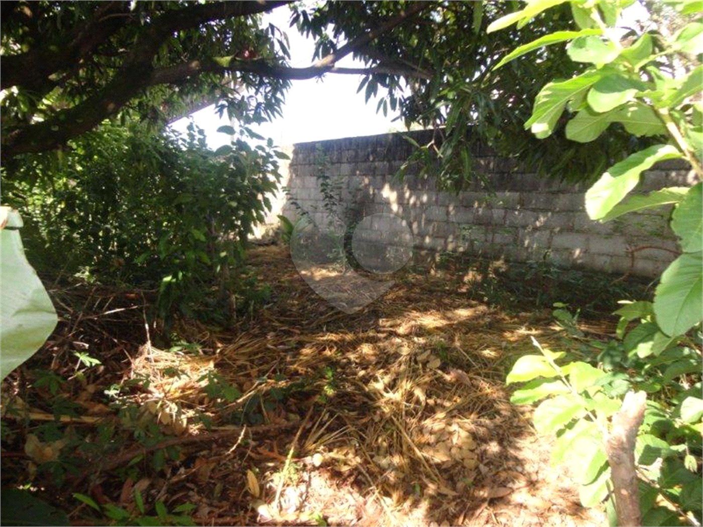 Terreno à venda em Vila São José, Valinhos, SP