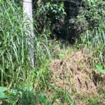 Terreno à venda no condomínio Sausalito, Mairiporã - SP