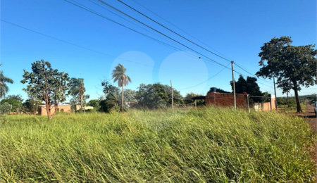 Terreno à venda em Pedro Juan Caballero, Amambay