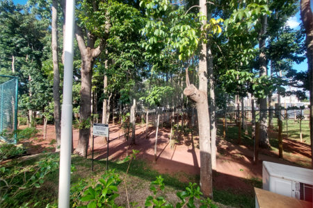 Terreno Plano no Faber 3 a venda