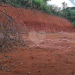 Terreno à venda em Vila Albertina, São Paulo, SP