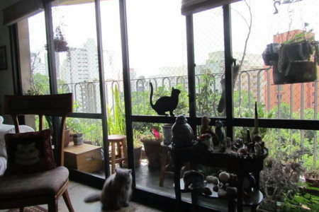 Apartamento à venda com 4 quartos, sendo 1 suíte, em Jardim Ampliação, São Paulo, SP