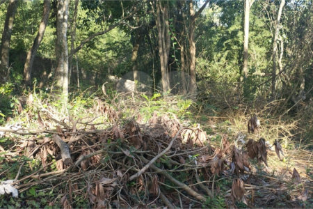 Terreno à venda em Vila Rosa, Itapetininga, SP