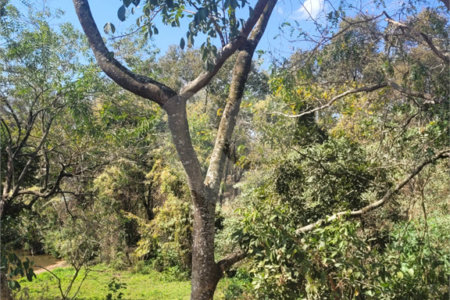 Terreno à venda no condomínio Acmti - Colinas do Mosteiro, Terras de Itaici e Recanto dos Pássaros, Indaiatuba - SP